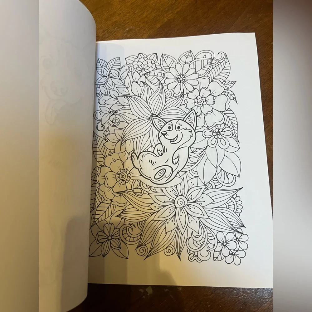 Set of 5 Corgis Coloring Books